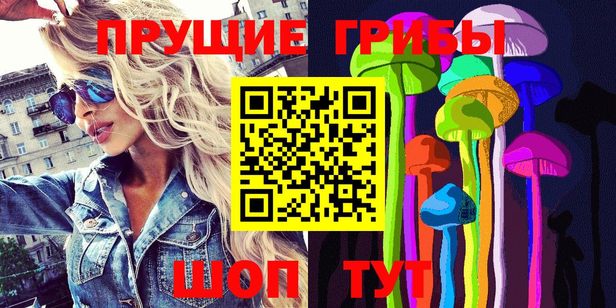Псилоцибиновые грибы Psilocybe Кропоткин