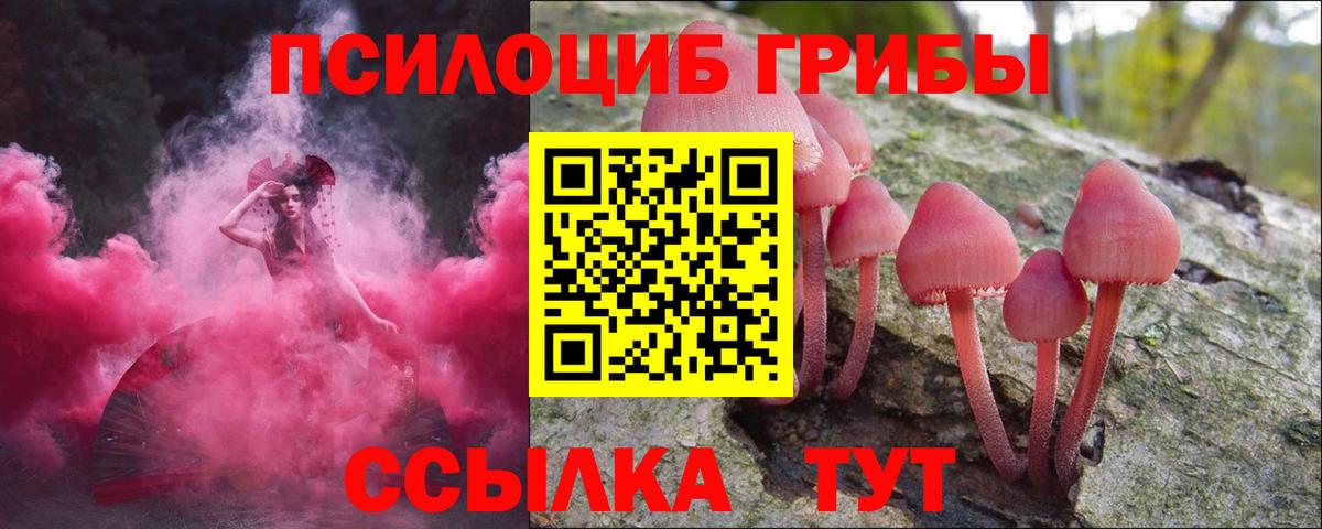 Кропоткин  Галлюциногенные грибы Magic Shrooms  Вход с VPN 